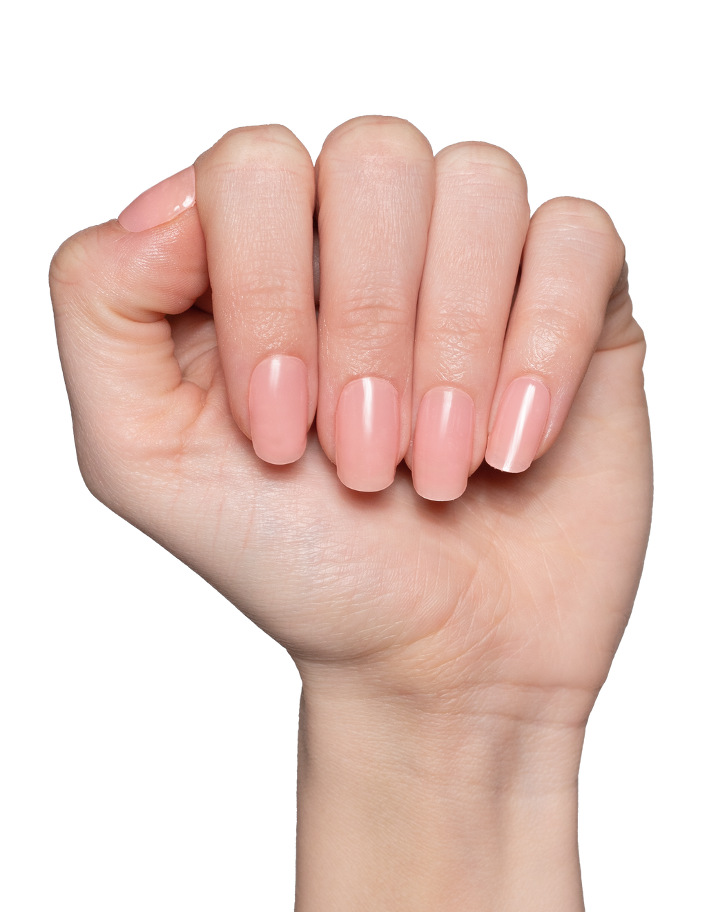 Apricot Sheer UV
