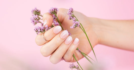 Diese 4 neuen Designs ziehen in unser Standardsortiment ein