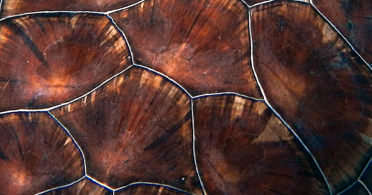 Diese 8 Nageldesign Trends solltest du diesen Sommer unbedingt ausprobieren