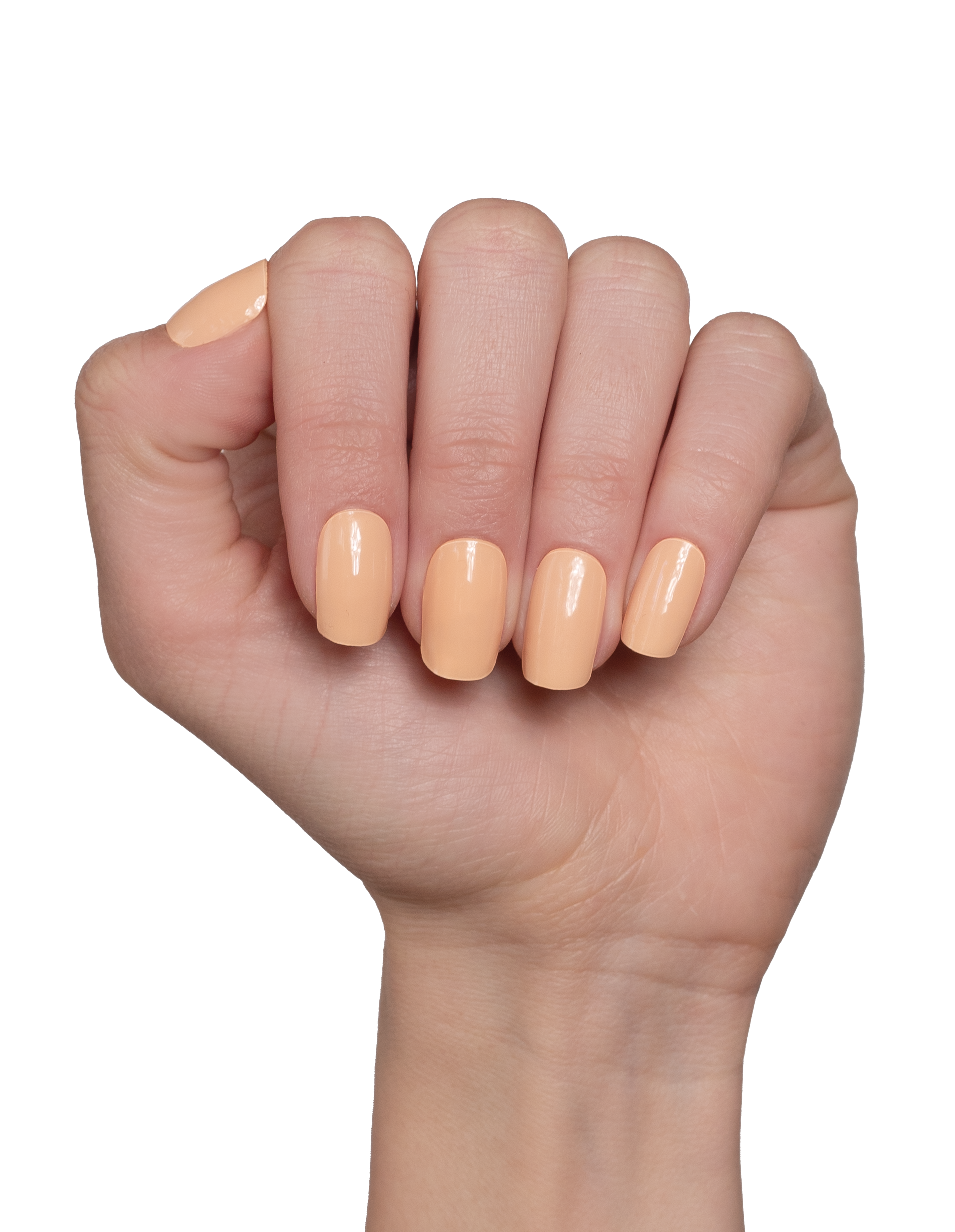 Apricot Crush