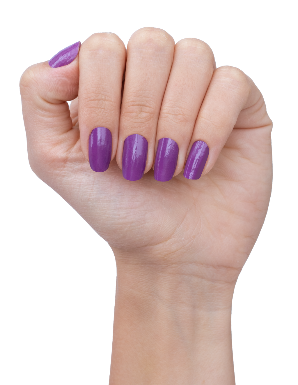 Aubergine