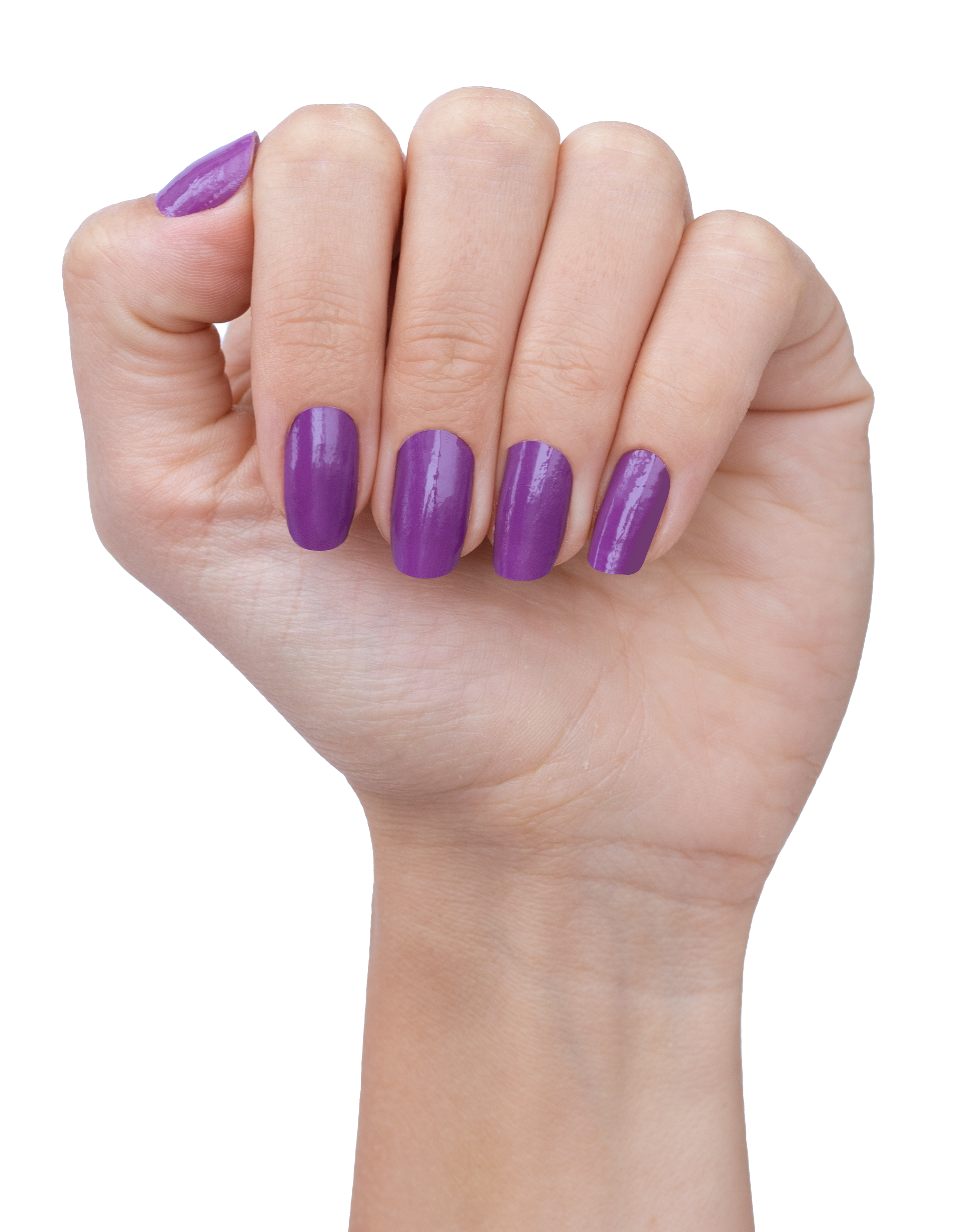 Aubergine