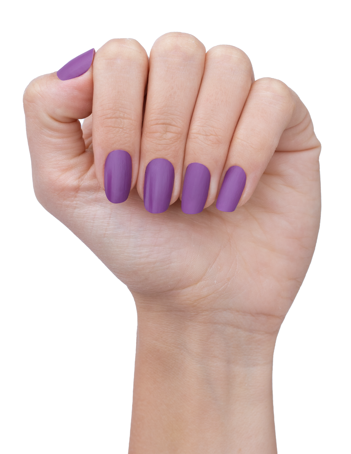 Aubergine