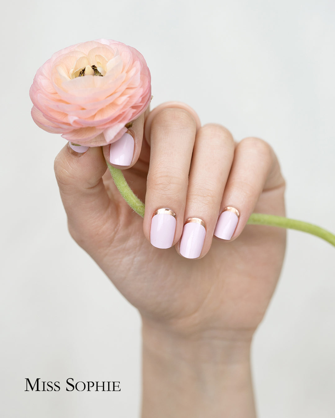 Cherry Blossom