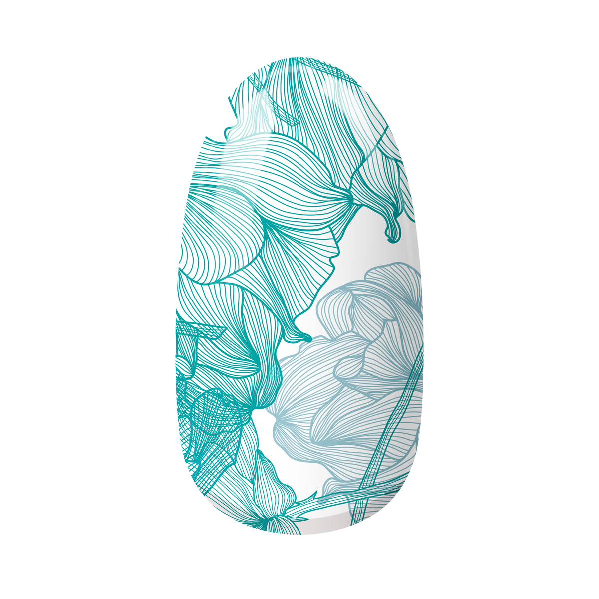 Ocean Blush
