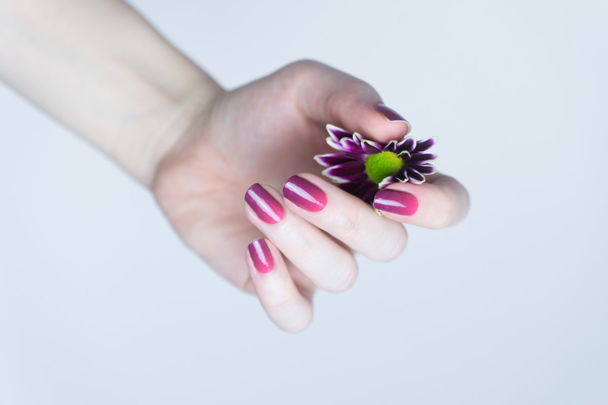 Pink Ombre