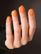 Pumpkin Pie