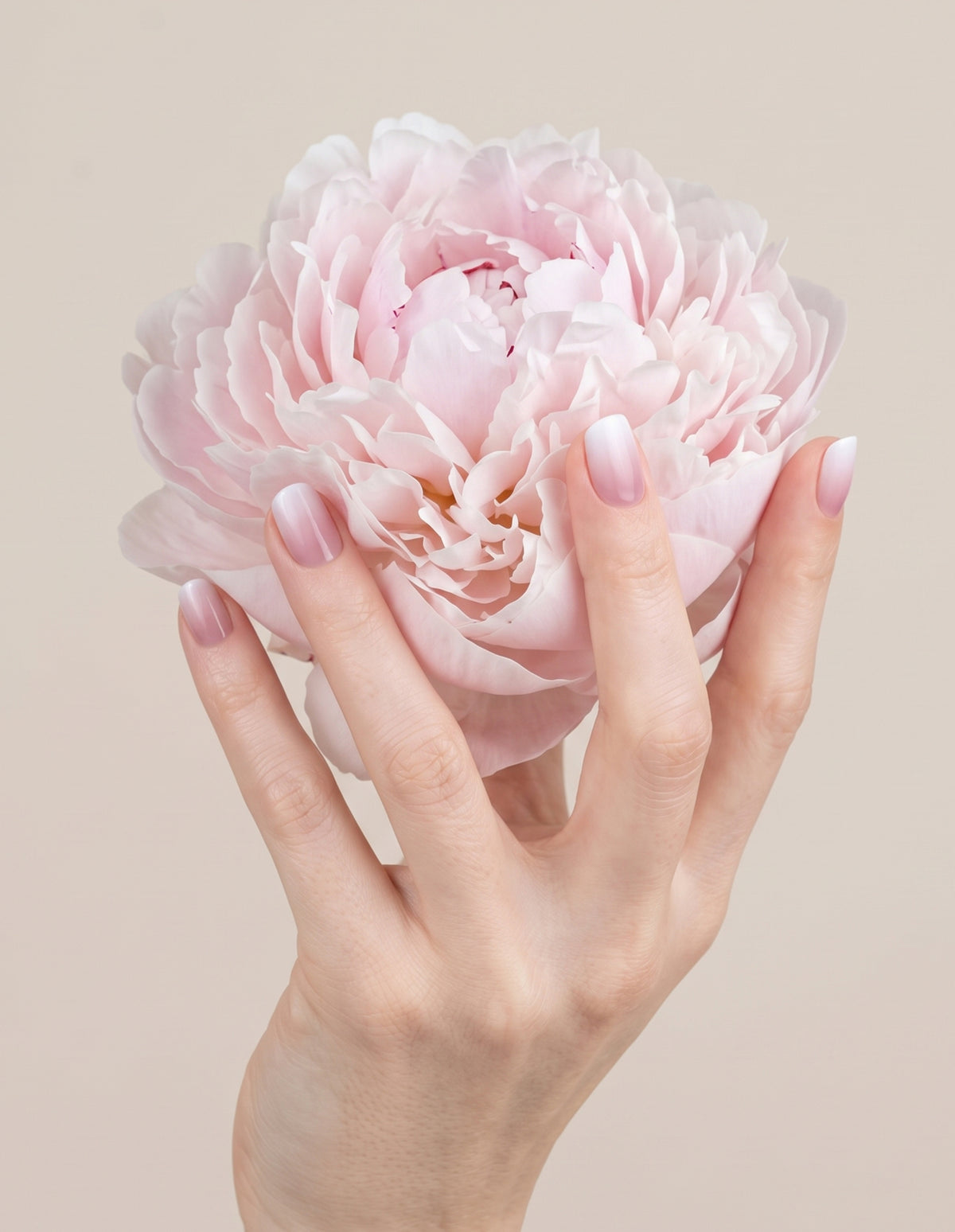 Rosy Love UV