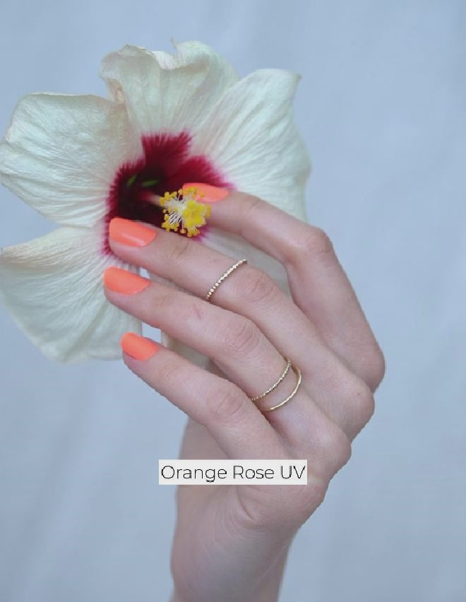 Orange Rose UV