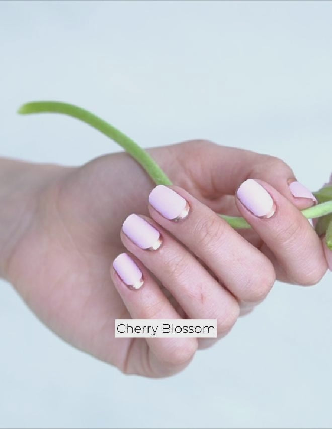 Cherry Blossom