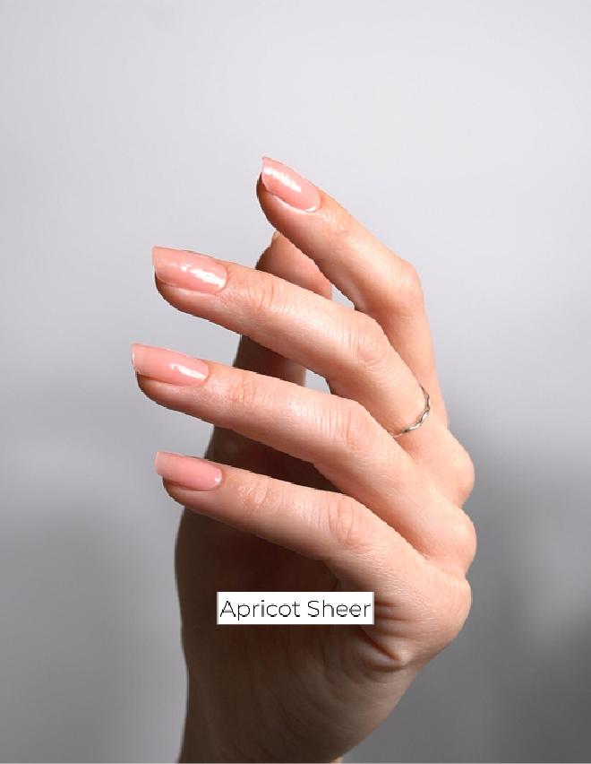 Apricot Sheer UV