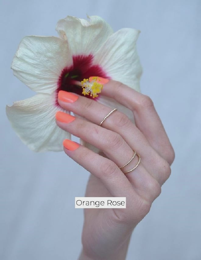Orange Rose
