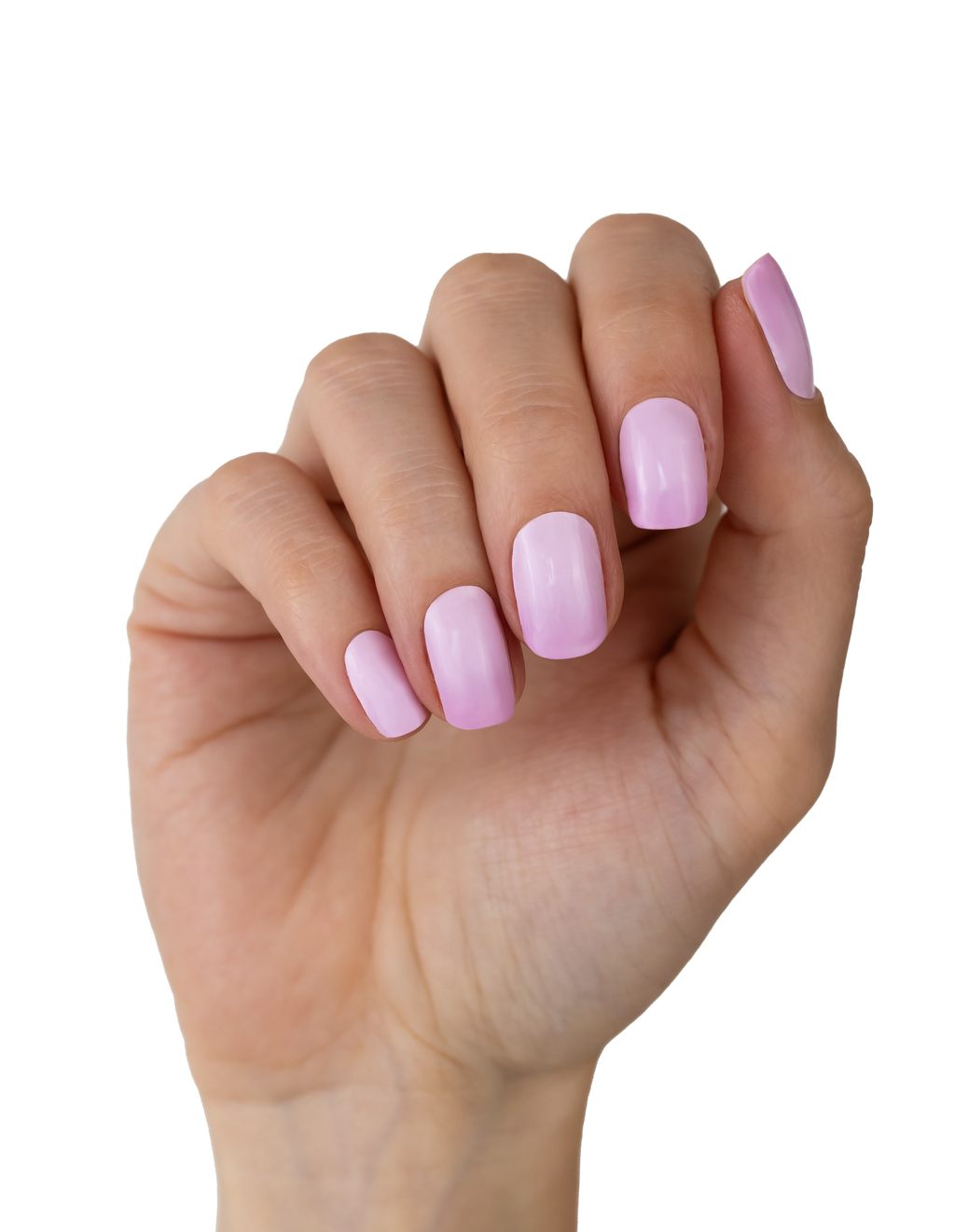 Pink Donut