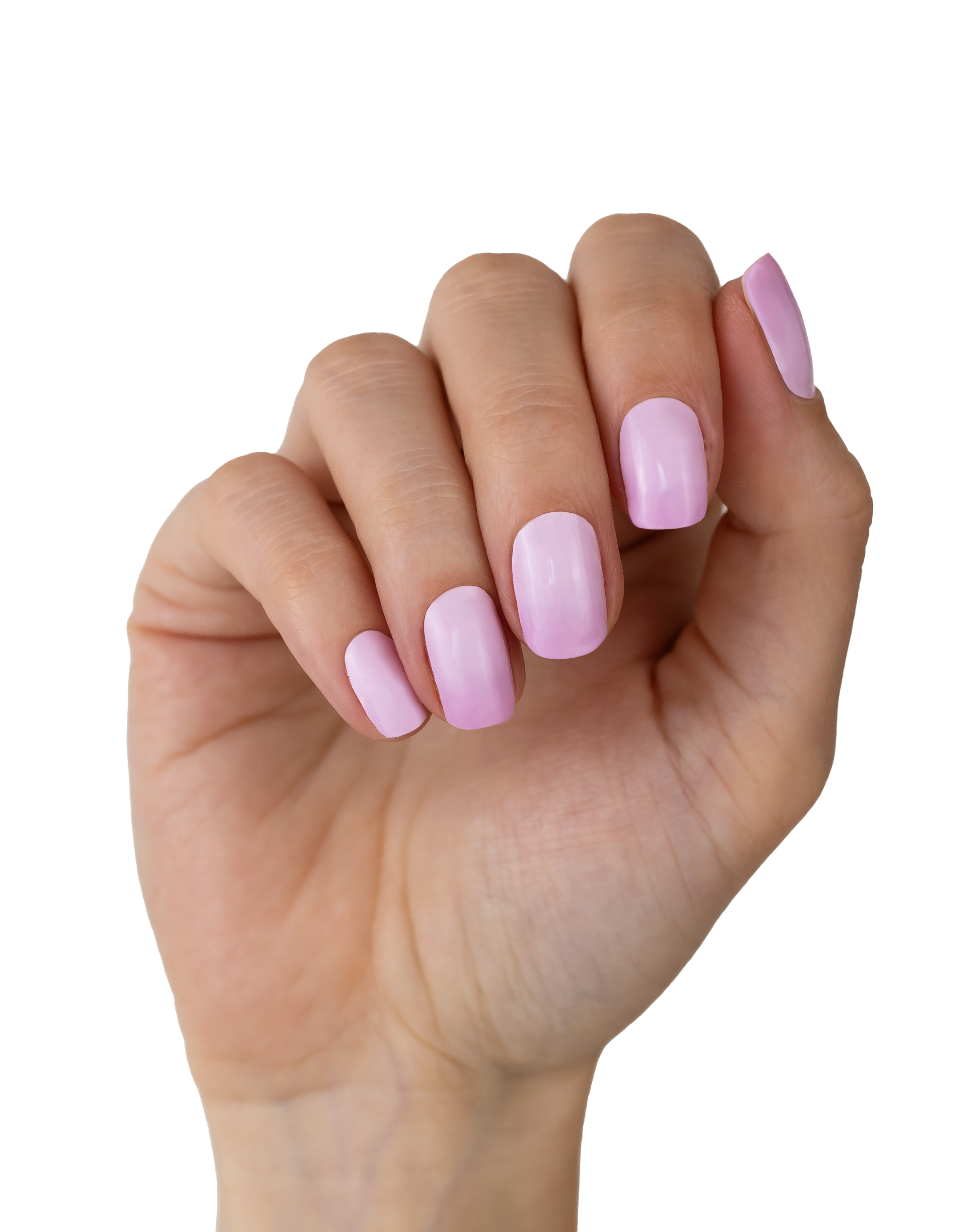 Pink Donut