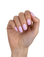 Pink Donut