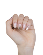 All The Single Ladies