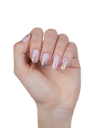 All The Single Ladies